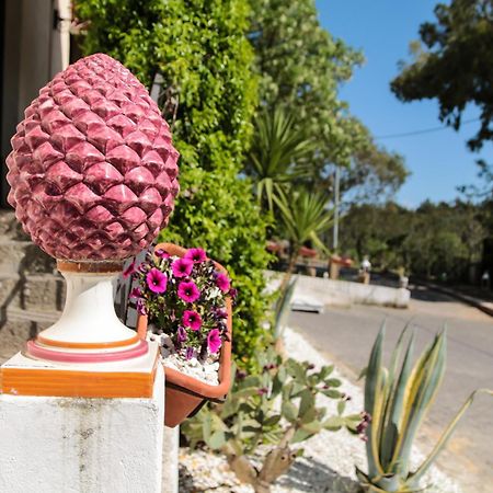 Agriturist Soleluna Caltagirone Eksteriør bilde